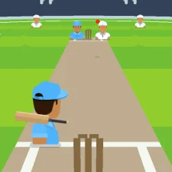 PLay Cricket FRVR now!
