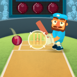 Play Cricket Hero now!