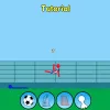 Ragdoll Football