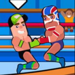 Play Wrestle Online Sports Game now!