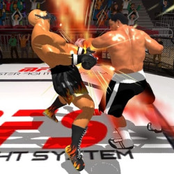 Play King Boxing 2024 now!