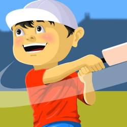 Play Street Cricket now!