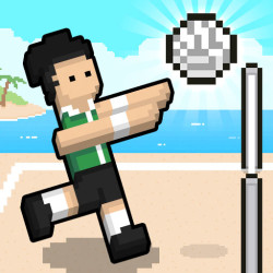 Play Volley Random now!